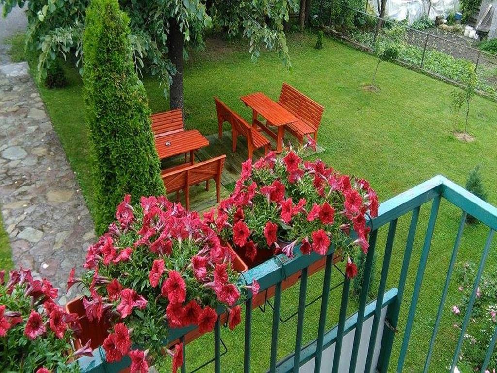 Apartments Radovic Kolašin المظهر الخارجي الصورة